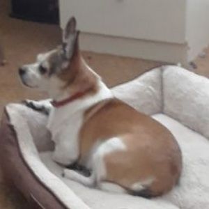 Meet your Posher, Reuben